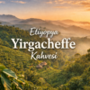 Etiyopya Yirgacheffe Kahvesi