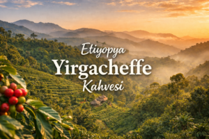 Etiyopya Yirgacheffe Kahvesi